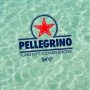 Bronx Rapper Yung H Links Up with Bronx Native Iceman for New Hit Single “Pellegrino”