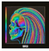 Enzyrose – Colourful Skull