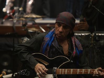 STEVEN VAN ZANDT