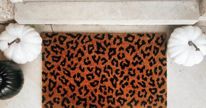 New Obsession: Leopard Print Pumpkins and Fall Decor!